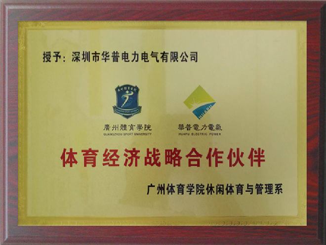 體育經(jīng)濟戰(zhàn)略合作伙伴